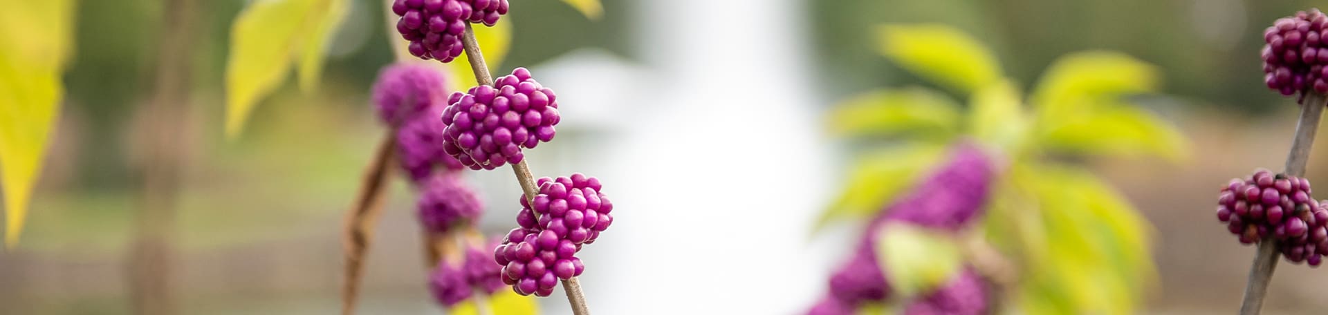 Contact acknowledgement hero image