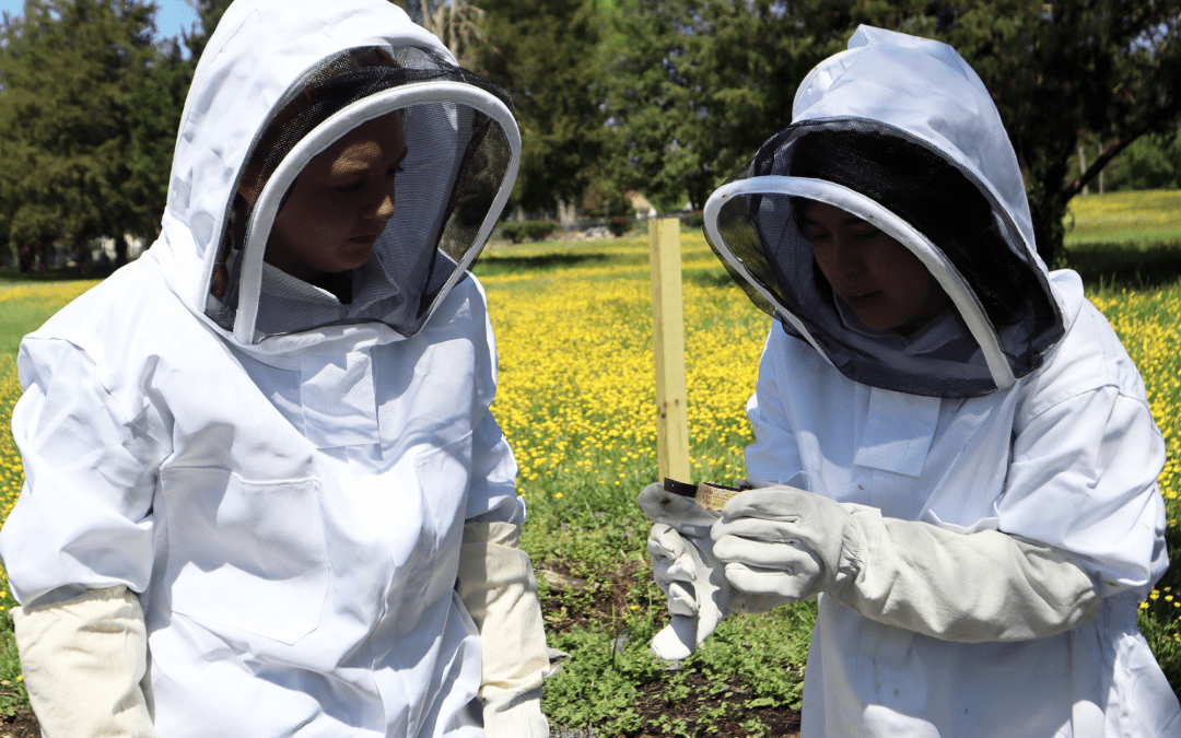 Covenant Woods Celebrates Biodiversity with New Honeybee Hives