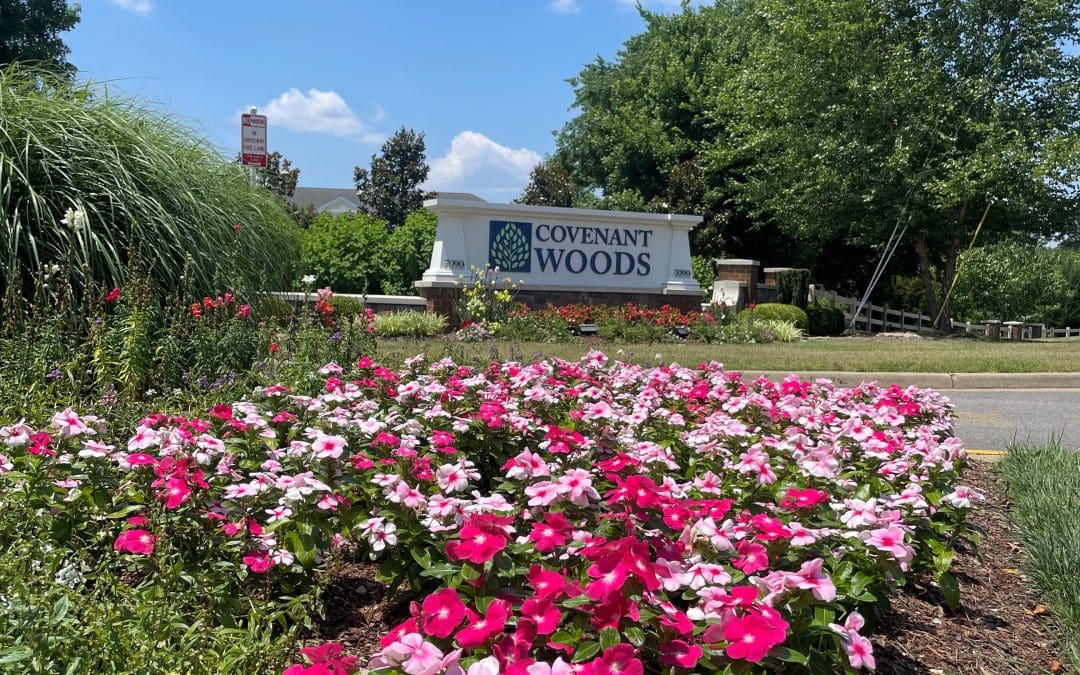 Summer at Covenant Woods