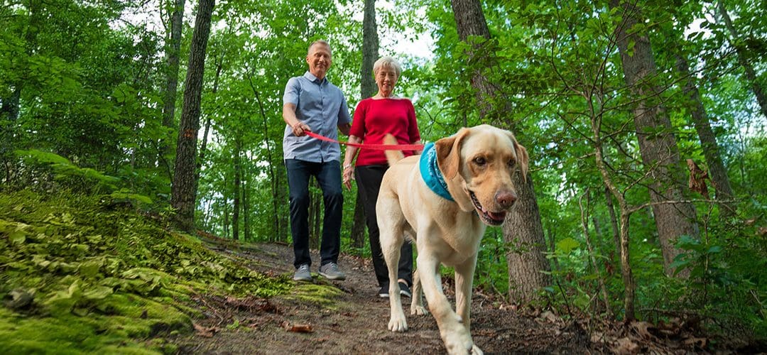 Can independent living really help me maintain my independence?