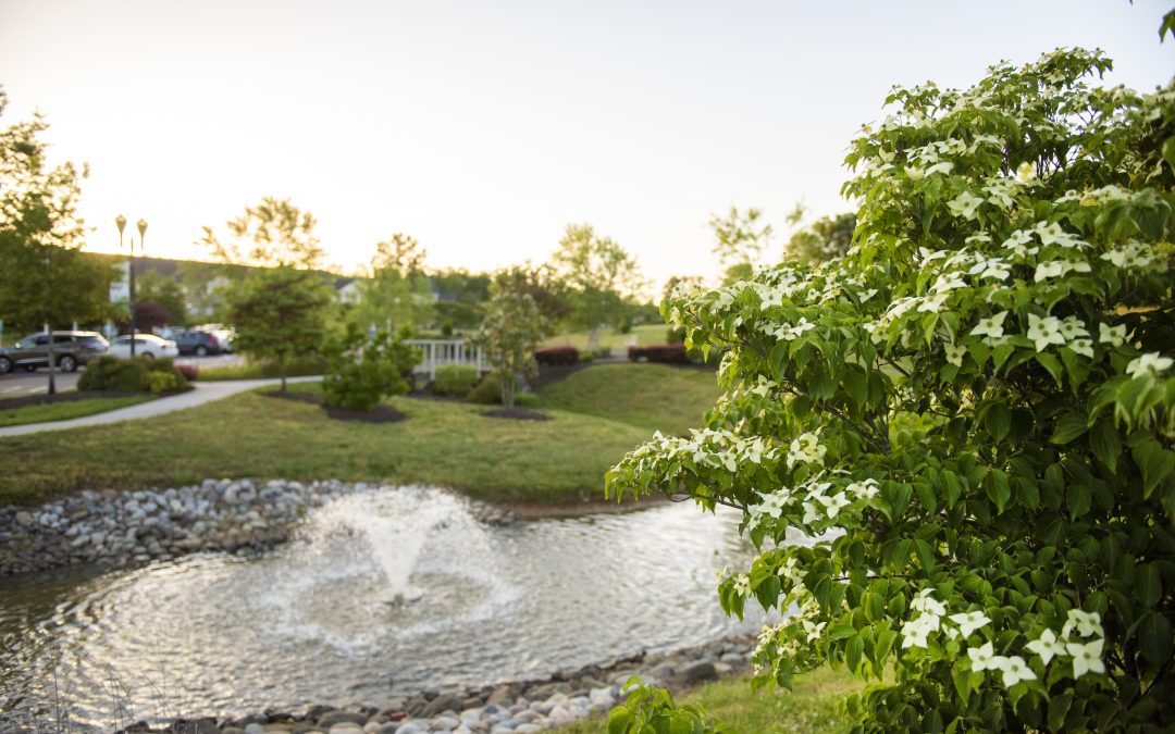 Covenant Woods Earns Dual CARF Accreditation for Excellence in Senior Living and Person-Centered Care